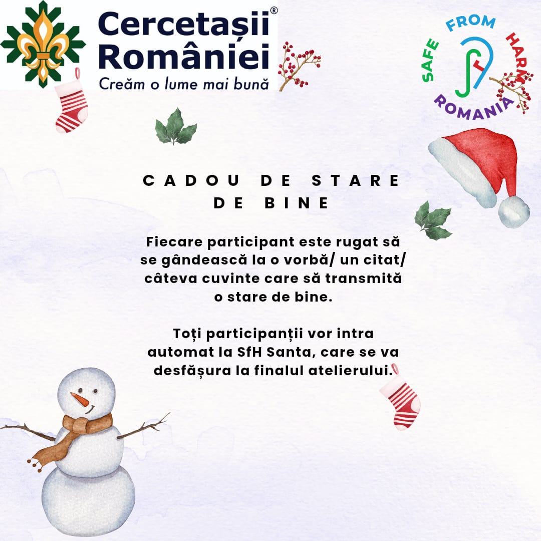SfH – Stare de bine în cercetășie (2)